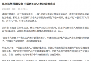 时报：风电机组并网发电 中国人生就是博驶入新能源新赛道